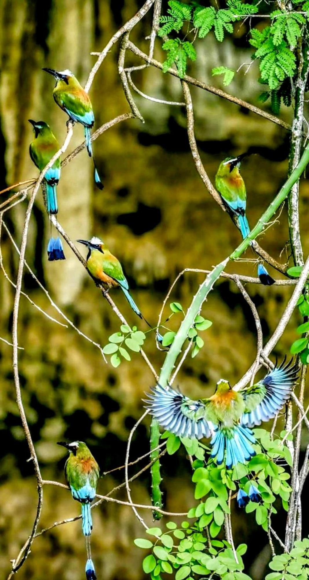The Blue Eco Lodge Tikuch Bagian luar foto